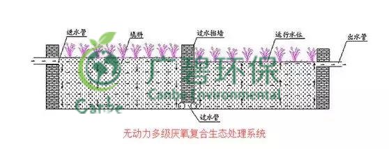 養(yǎng)豬場(chǎng)污水處理方法 養(yǎng)豬場(chǎng)廢水處理設(shè)備的應(yīng)用(圖5) 養(yǎng)豬場(chǎng)污水處理方法 養(yǎng)豬場(chǎng)廢水處理設(shè)備的應(yīng)用(圖5)