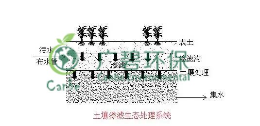養(yǎng)豬場(chǎng)污水處理方法 養(yǎng)豬場(chǎng)廢水處理設(shè)備的應(yīng)用(圖6) 養(yǎng)豬場(chǎng)污水處理方法 養(yǎng)豬場(chǎng)廢水處理設(shè)備的應(yīng)用(圖6)